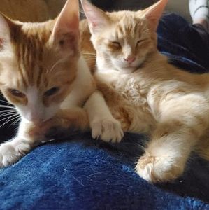 Meet your Posher, Aaron